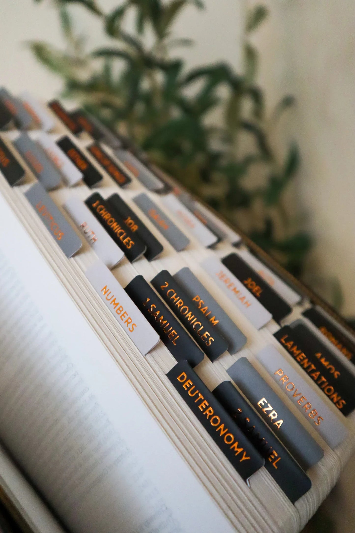 Bible Tabs Black Copper | Matte-Coated Sticker Tabs