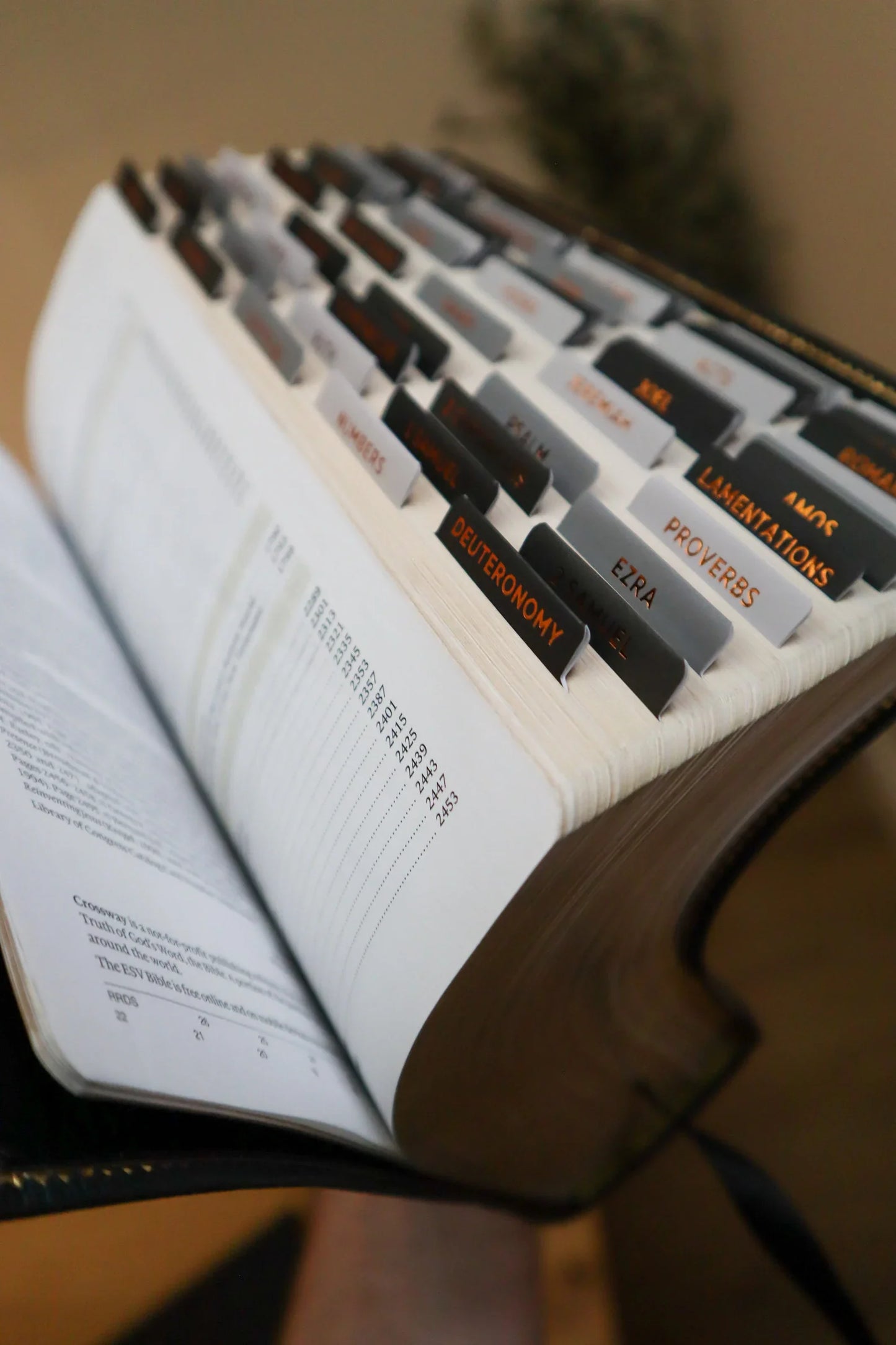 Bible Tabs Black Copper | Matte-Coated Sticker Tabs